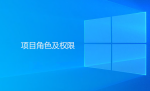 Gungho系統(tǒng)內(nèi)項(xiàng)目角色及權(quán)限相關(guān)描述